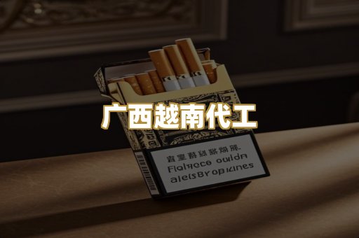 广西越南代工